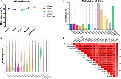 Whole-Genome DNA Methylation Dynamics of Sheep Preimplantation Embryo Investigated by Single-Cell DNA Methylome Sequencing